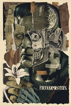 Frankenstein poszter